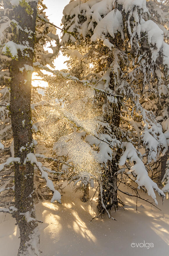Sunset at Sulphur Mountain