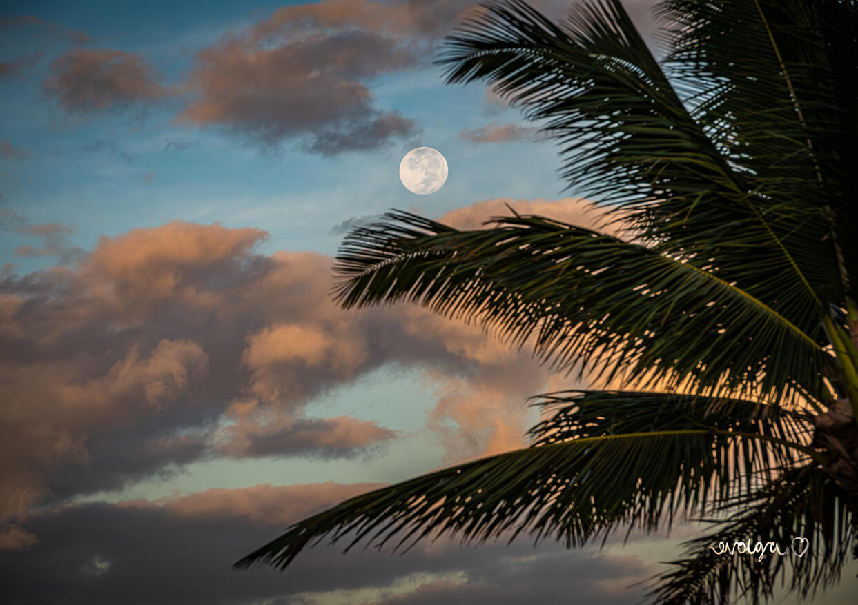 Moon at Dawn in Maui