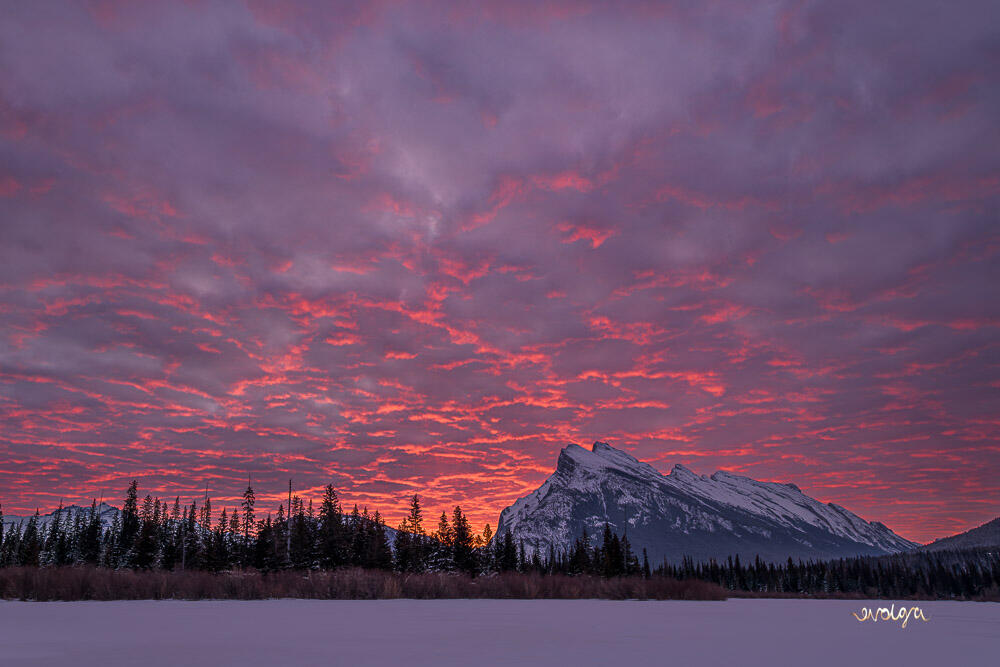Vermillion Lakes