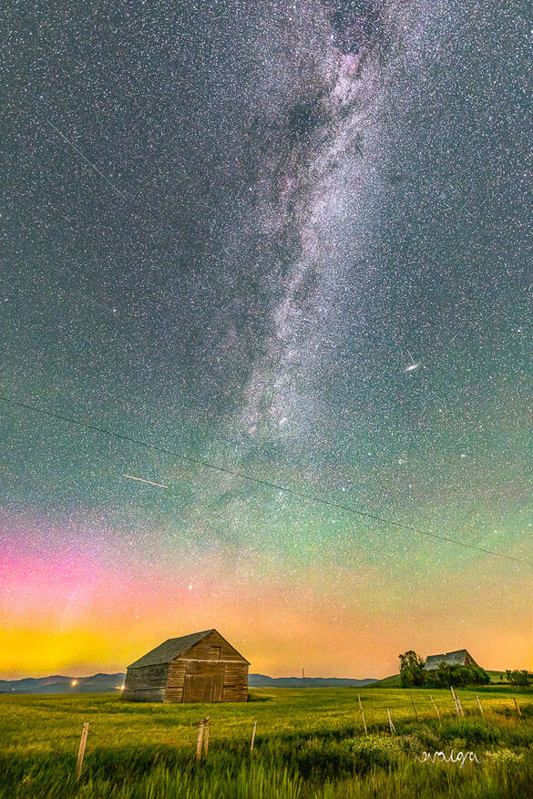 Alberta Night Skies