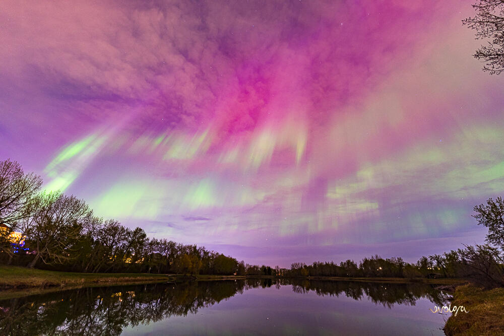 Northern Lights in Calgary, Canada
