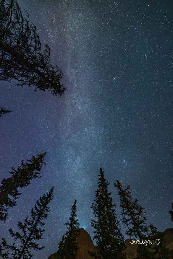 Neon Lights of Milky Way