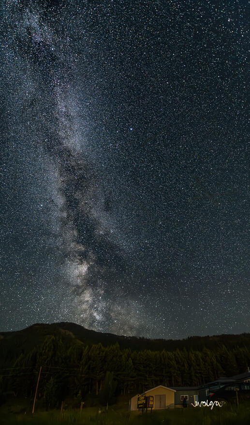 Crowsnest Pass Milky Way