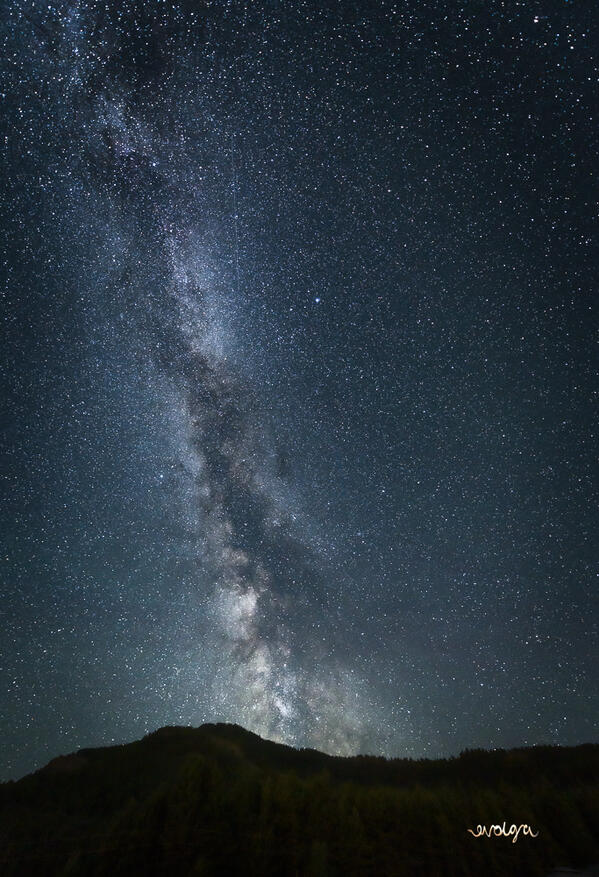 Crowsnest Pass Night Sky