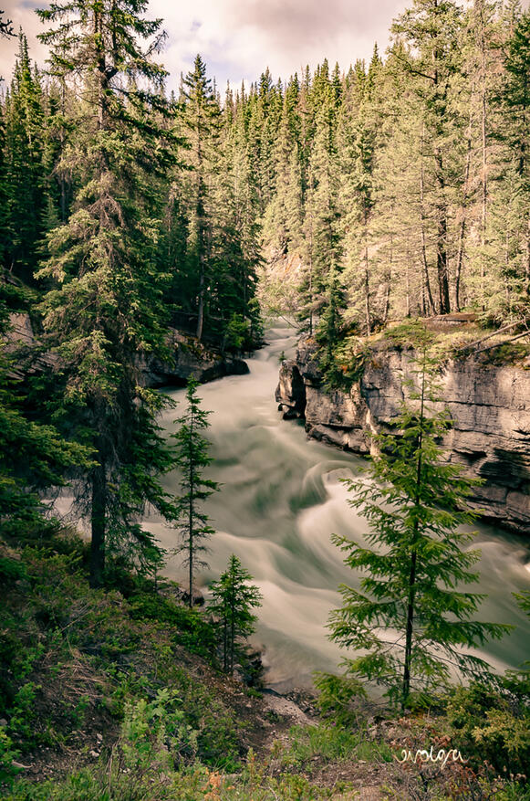 Maligne Canyon Waterfalls