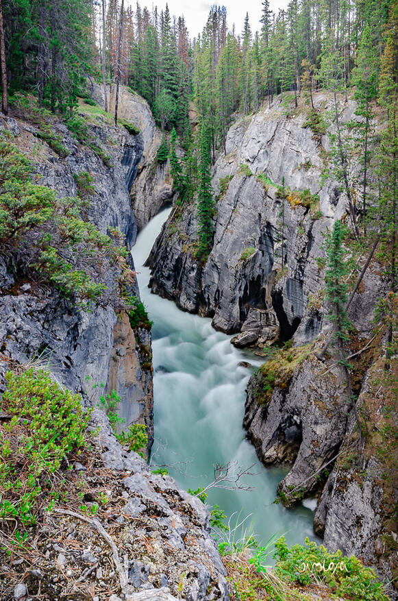 Athabasca Falls