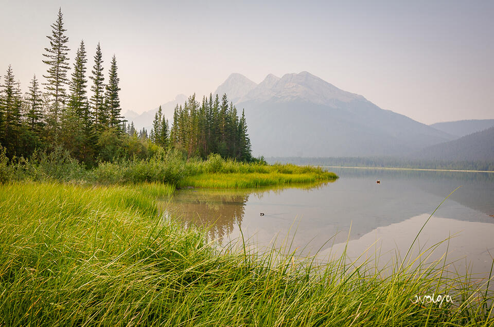 Early Morning at Spray Lakes
