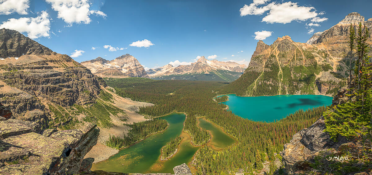 Lake O'Hara's Opabin Summit