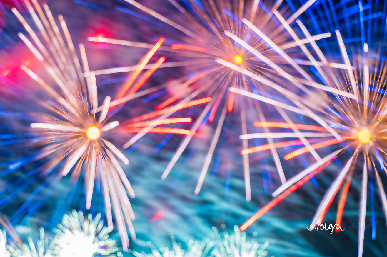 Wild Colors of GlobalFest Fireworks Show