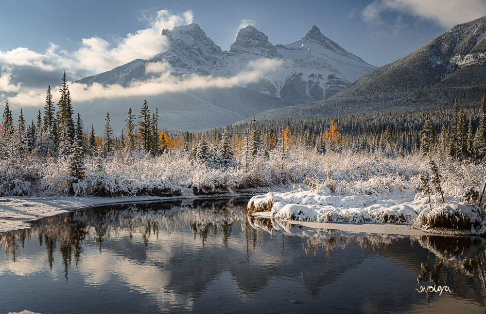 Three Sisters under the First Snow