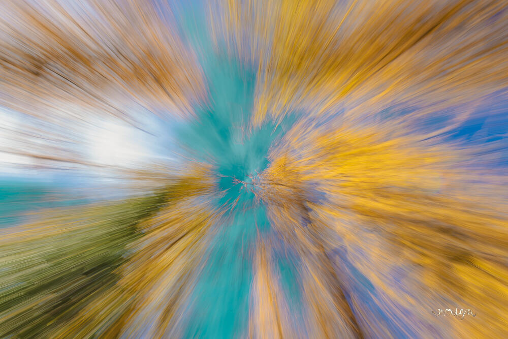 Dancing Colours of Fall