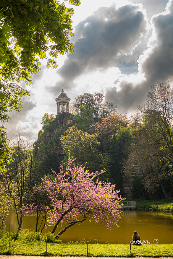 Under the Chestnut Tree