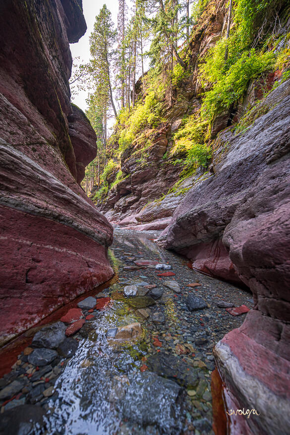 Red Rock Canyon in Waterton, Alberta