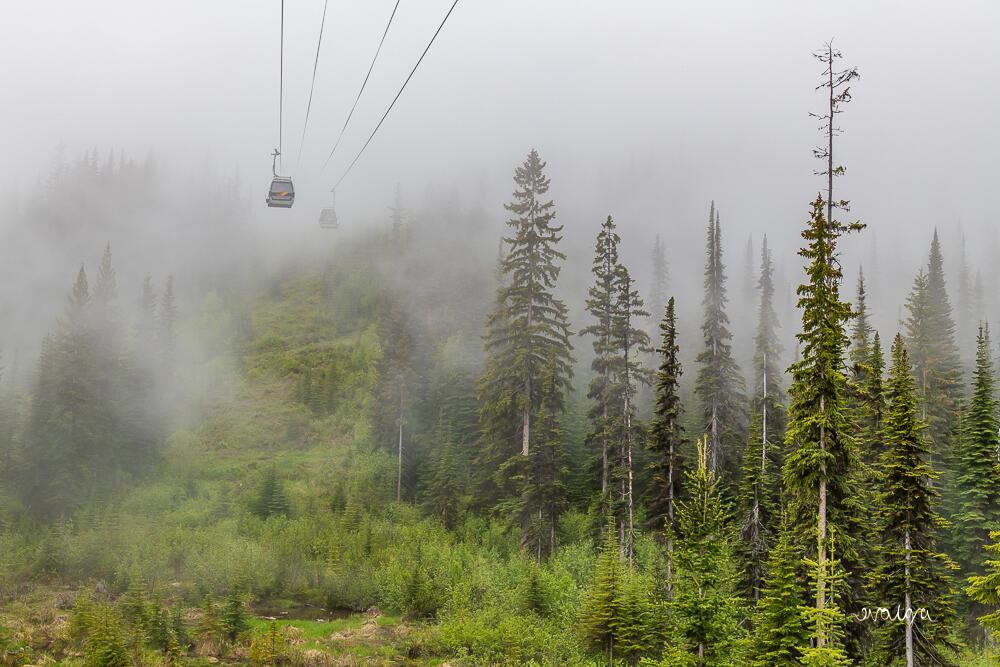 Early morning at Kicking Horse, BC