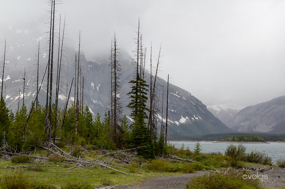 Fog on the Lower Kananaskis Lake