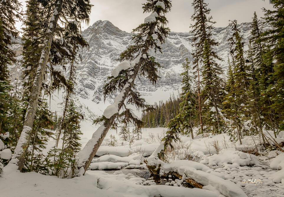 Rawson Lake in the Winter