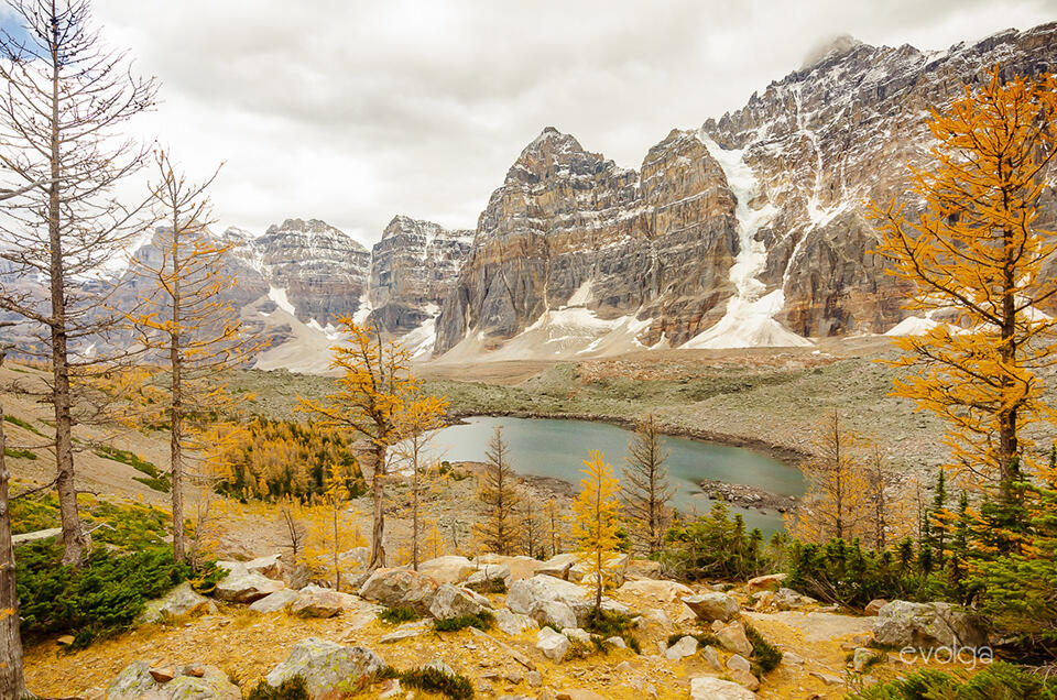 Larch Valley, Banff Park
