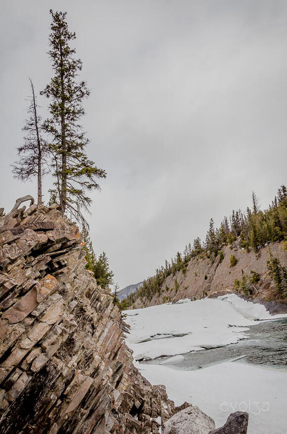 Bow Lake in Graffiti