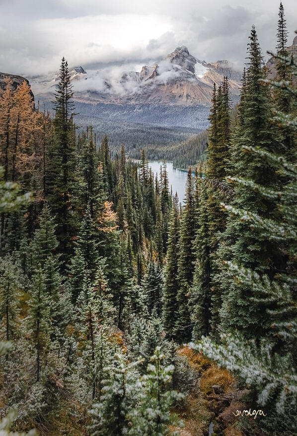 Magnificent Mountains around Lake O'Hara